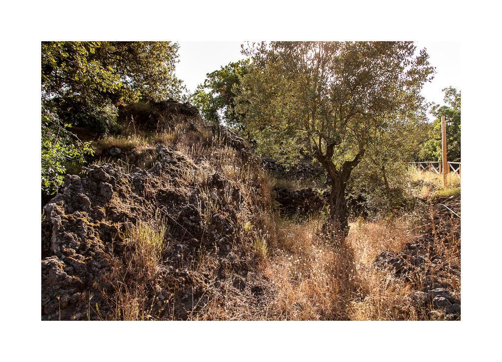 Ecoagriturismo Notti Stellate Etna Mare Villa Маскали Екстериор снимка