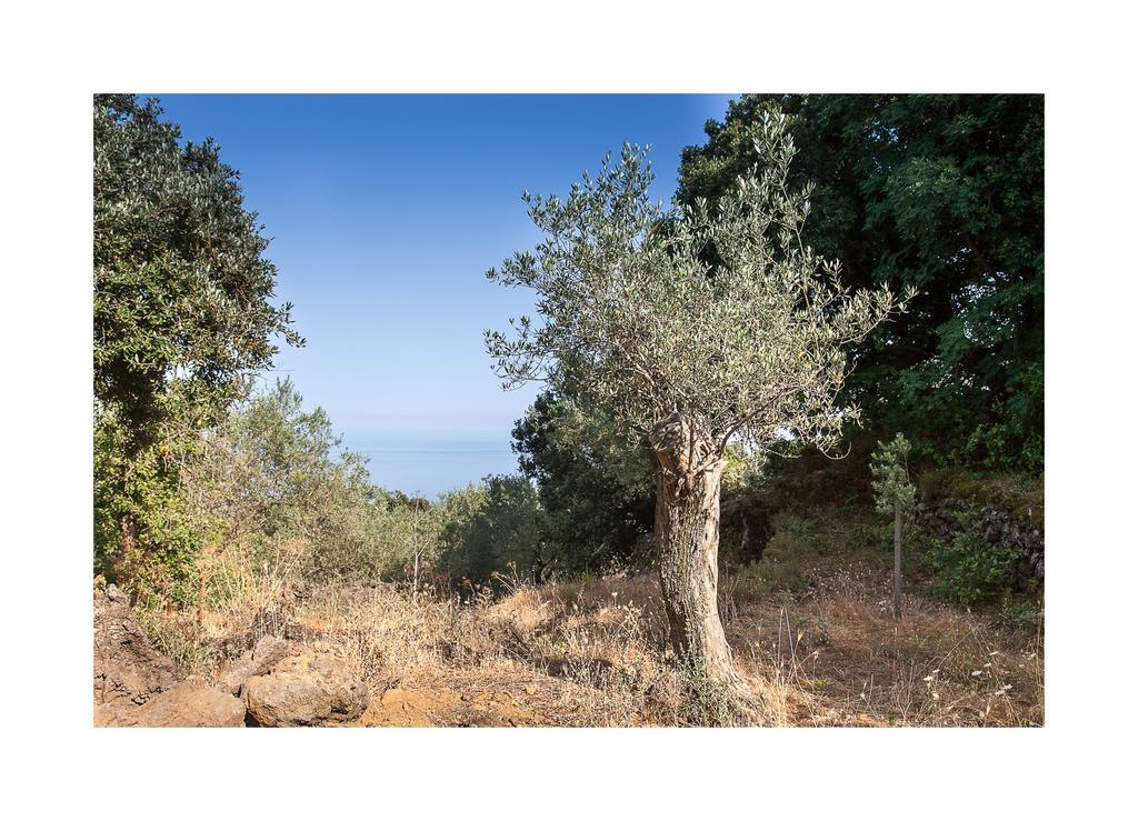 Ecoagriturismo Notti Stellate Etna Mare Villa Маскали Екстериор снимка