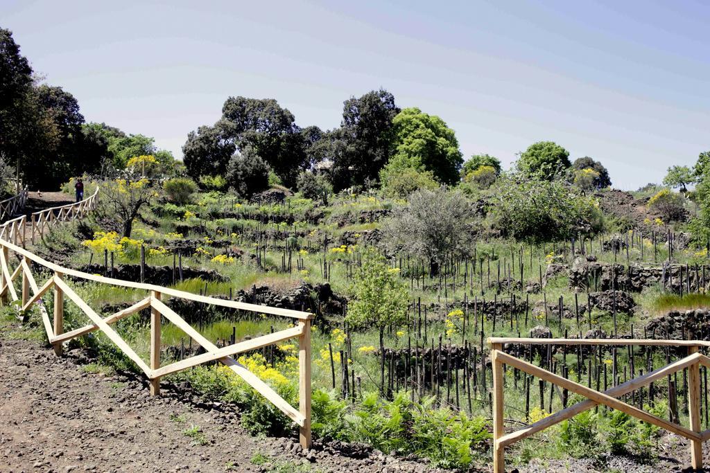 Ecoagriturismo Notti Stellate Etna Mare Villa Маскали Екстериор снимка