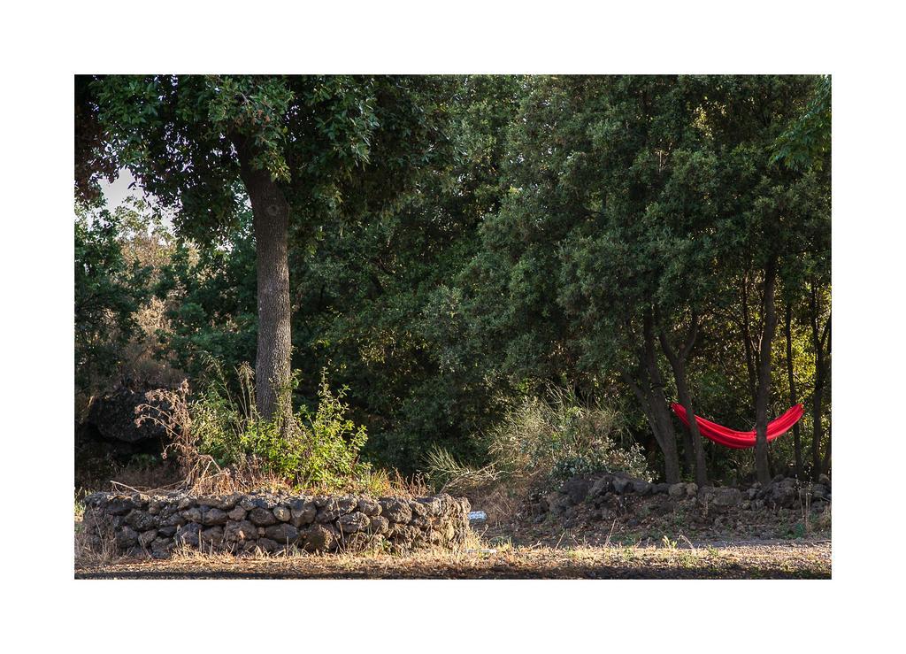 Ecoagriturismo Notti Stellate Etna Mare Villa Маскали Екстериор снимка