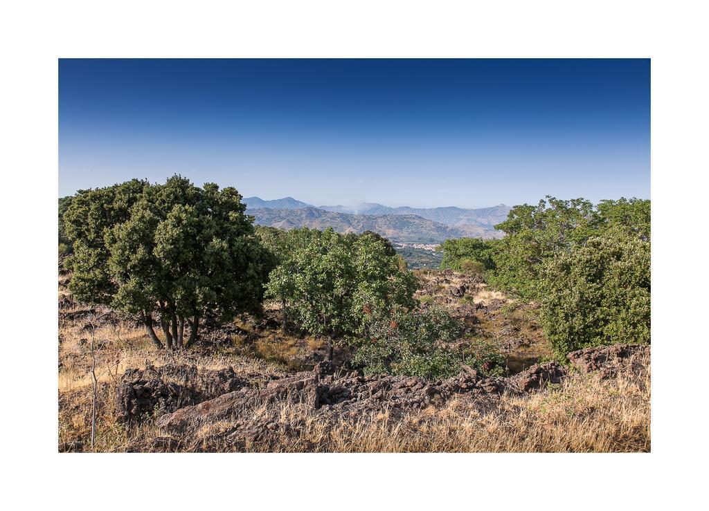 Ecoagriturismo Notti Stellate Etna Mare Villa Маскали Екстериор снимка