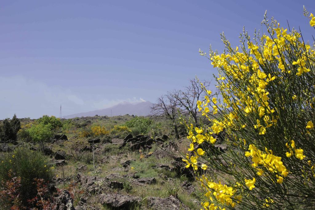 Ecoagriturismo Notti Stellate Etna Mare Villa Маскали Екстериор снимка