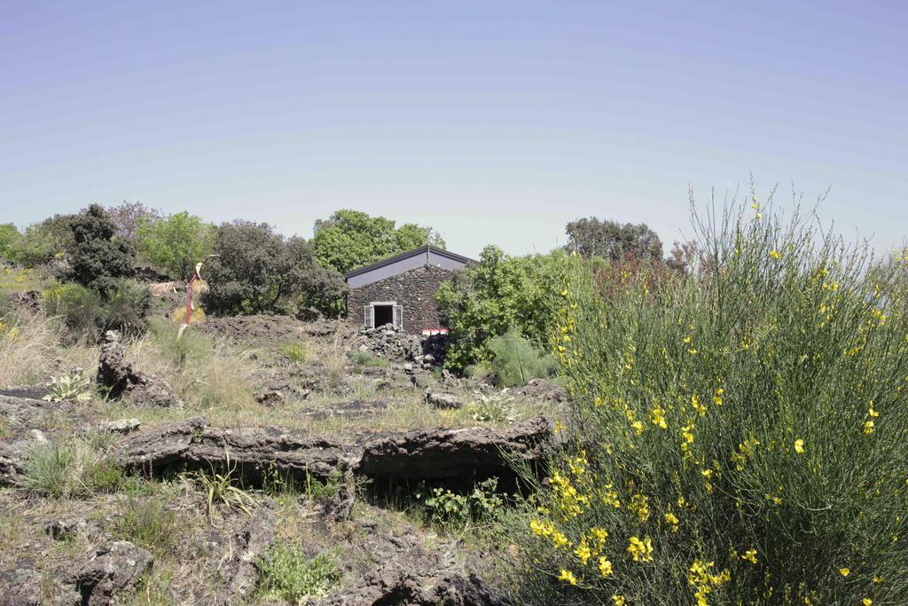 Ecoagriturismo Notti Stellate Etna Mare Villa Маскали Екстериор снимка